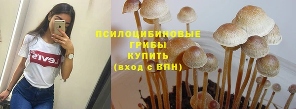 СК Михайловск