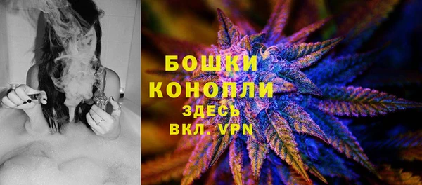 СК Михайловск
