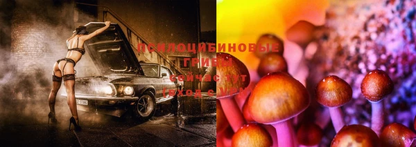 СК Михайловск