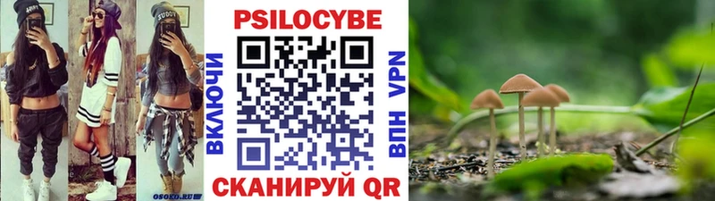 Купить где Калачинск Псилоцибиновые грибы прущие грибы